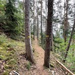 Der Rundweg Kasserol führt durch schattenverheißende Waldstücke