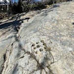 Schalen neben der Hexenrutsche