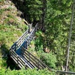 Über den liebevoll angelegten Wasserfallsteig zur Bergalm