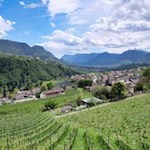 Das-Dorf-Riffian-wird-von-Obstwiesen-umrahmt