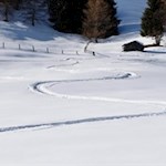 Spuren sanfter Schwünge im Altfasstaler Pulverschnee