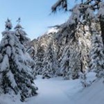 In Winterstarre verfallen...