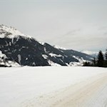 Zunächst folgt man der Straße zum Wald