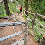Through the woods to malga Casnago mountain hut