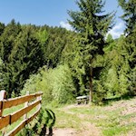 Sanft steigt der Weg nach Briol an