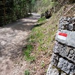 Der Weg zum Völlaner Badl ist bestens markiert