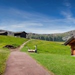 Durch die malerischen Almwiesen der Seiser Alm zur Spitzbühlhütte
