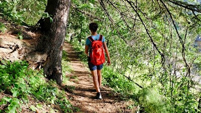 Von Gossensass führt ein Wald- und Wiesenpfad in Richtung Hühnerspielhütte