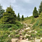 Im steten Anstieg zum Laugensee