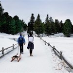 Wer möchte, kann links zum Totenkirchl oder rechts zur Stöfflhütte weiterwandern