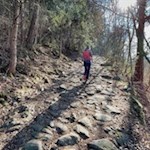 Im steten Anstieg nach Albions