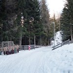 Am Beginn der Rodelbahn