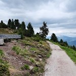 Familienwanderung-auf-dem-Panoramaweg