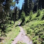 La via del ritorno dal rifugio delle Odle è la stessa dell'andata