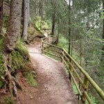 Sanft steigt der Wanderweg durch den Wald an