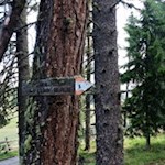 Auf dem Weg Nr. 6 zur Ochsenalm