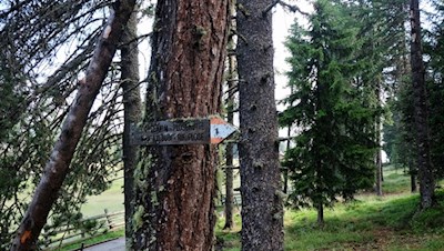 Auf dem Weg Nr. 6 zur Ochsenalm