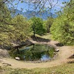 Lago Nero Castelfeder