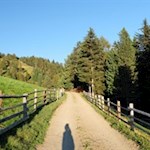 Auf breiten Wegen in Richtung Campill (Hörschwanger Kreuz)