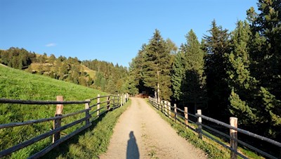 Auf breiten Wegen in Richtung Campill (Hörschwanger Kreuz)