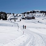 Winterwanderung zur Starkenfeldhütte