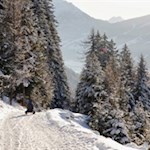 Manche fahren auch mit der Rodel zu Tale