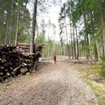 Wandern vom Issinger Weiher nach Pfalzen