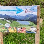 Der Weg zur Rinneralm ist nicht zu verfehlen