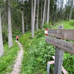 Vom Elisabeth Denkmal führt der Weg Nr. 6 zur Heinzen Alm