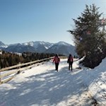 The Alpe di Rodengo alp is also very popular in winter