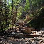 Dietro il bastione, il sentiero ricoperto di pietre e assi di legno conduce in costante salita 