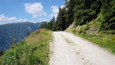 Vor der Kulisse des Rammelstein zur Brunnerwiesen Alm