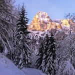 Auf dem Rückweg hat man den Tribulaun stets vor Augen