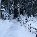 Der Karersee kann auch im Winter umrundet werden