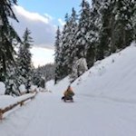 Auf flotten Kufen zurück ins Tal