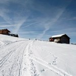 Die Störeswiesen werden von einzelnen Holzhütten bestanden