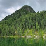 Der Wengsee wird von Wald umrahmt