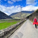 Zuletzt führt die Wanderung entlang der Dorfstraße nach Kematen