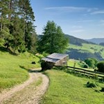 Durch Wald und Wiesen zum Völser Weiher