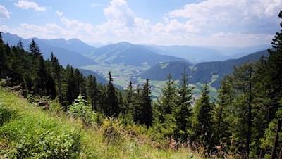 Auf dem Weg zur Brunnerwiesen Alm öffnen sich schöne Ausblicke