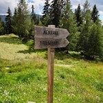 Von der Stumpfalm kann man auch auf dem kürzeren Waldsteig in den Talschluss zurückkehren