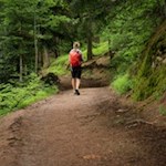 Sanft-schlängelt-sich-die-Fennpromenade-durch-den-Wald