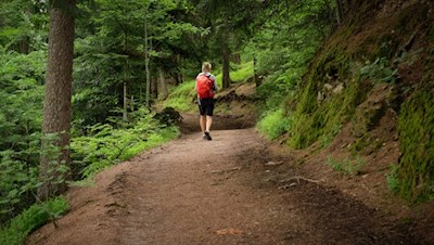 Sanft schlängelt sich die Fennpromenade durch den Wald