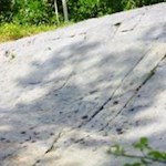 Felszeichungen am Archeopfad