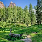 In a clearing below lake Federa, a Fountain promises refreshing coolness