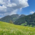 Wiesenidylle mit Blick auf den Zinseler