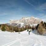 Rodelvergnügen vor der Kulisse der Lavarella und der Conturinesspitze