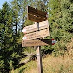 Der Rückweg von der Platte zum Kofler am Kofl erfolgt auf dem Hinweg