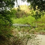 Die Andreas-Hofer-Brücke spannt sich über die Rienz