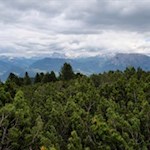 Neben uns erheben sich die bleichen Dolomiten